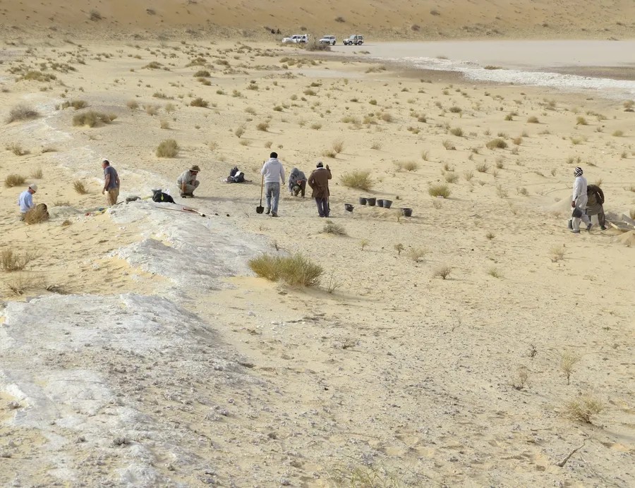 Aerial view of Al Wusta excavations with white ancient lakebed surrounded by Nefud sand dunes