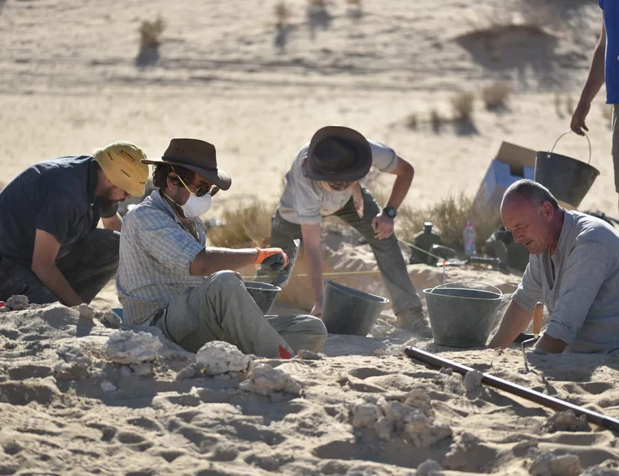 Archaeologists excavating in a gridded trench at Al Wusta in the Nefud Desert, Saudi Arabia