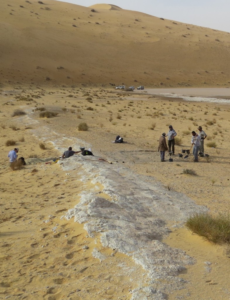 Archaeological excavation at Al Wusta in Saudi Arabia's Nefud desert where a Homo sapiens finger bone was found in 2016