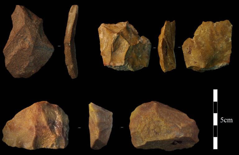 Levallois flakes and core stone tools from Al Wusta on black background
