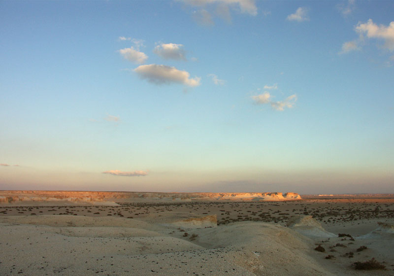 Qaa Faydat Ad-Dahikiya canyon in the eastern Jordan desert—limestone cliffs rising above aromatic desert shrubs in the valley bed
