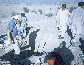 Philip Gingerich and workers at the 2000 excavation site of a Maiacetus female in Pakistan