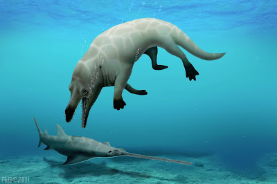 Phiomicetus anubis diving toward prey in an Eocene marine environment