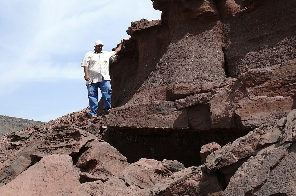 SGS geologist Mohammad Ali examines red sandstones and siltstones of the Shumaysi Formation near the Saadanius hijazensis fossil locality